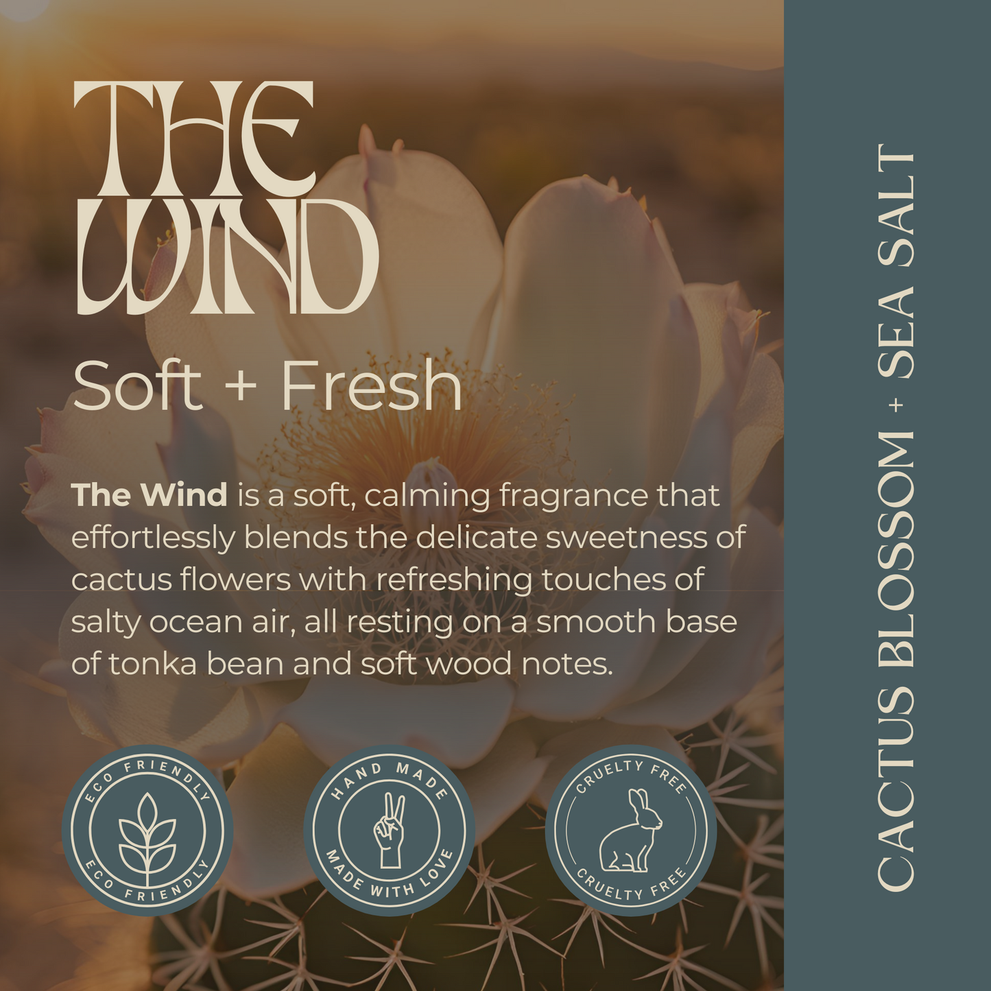 The Wind | Cactus Blossom + Sea Salt | Glass Jar