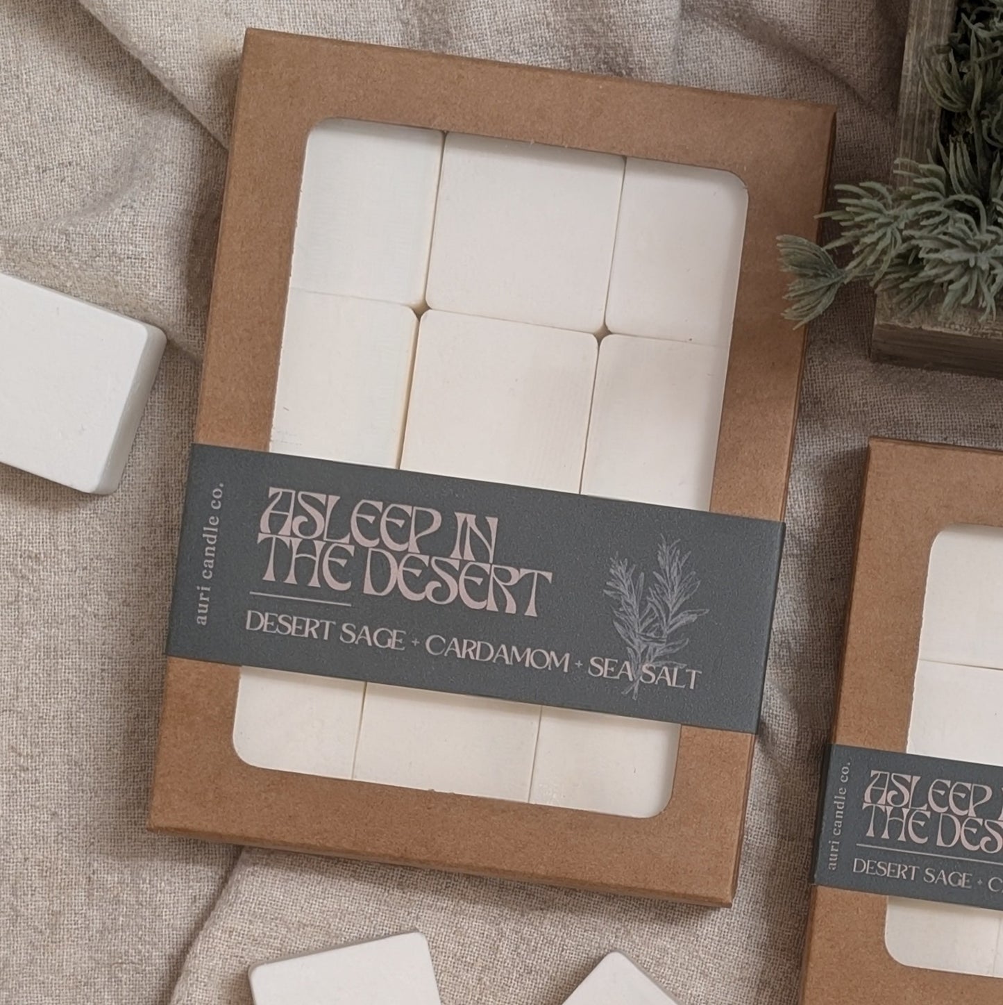 Asleep In The Desert | Desert Sage + Cardamom + Sea Salt