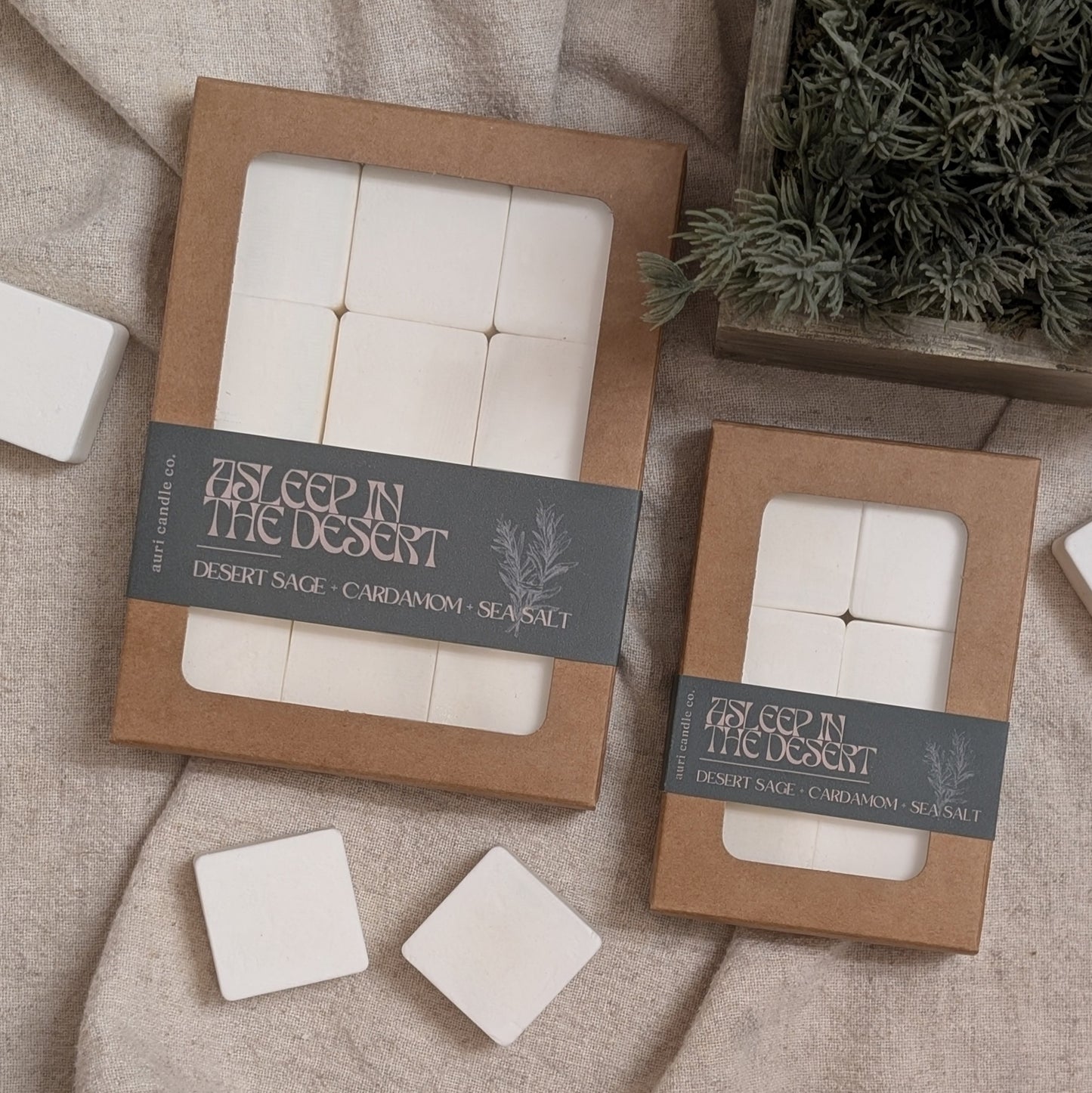 Asleep In The Desert | Desert Sage + Cardamom + Sea Salt
