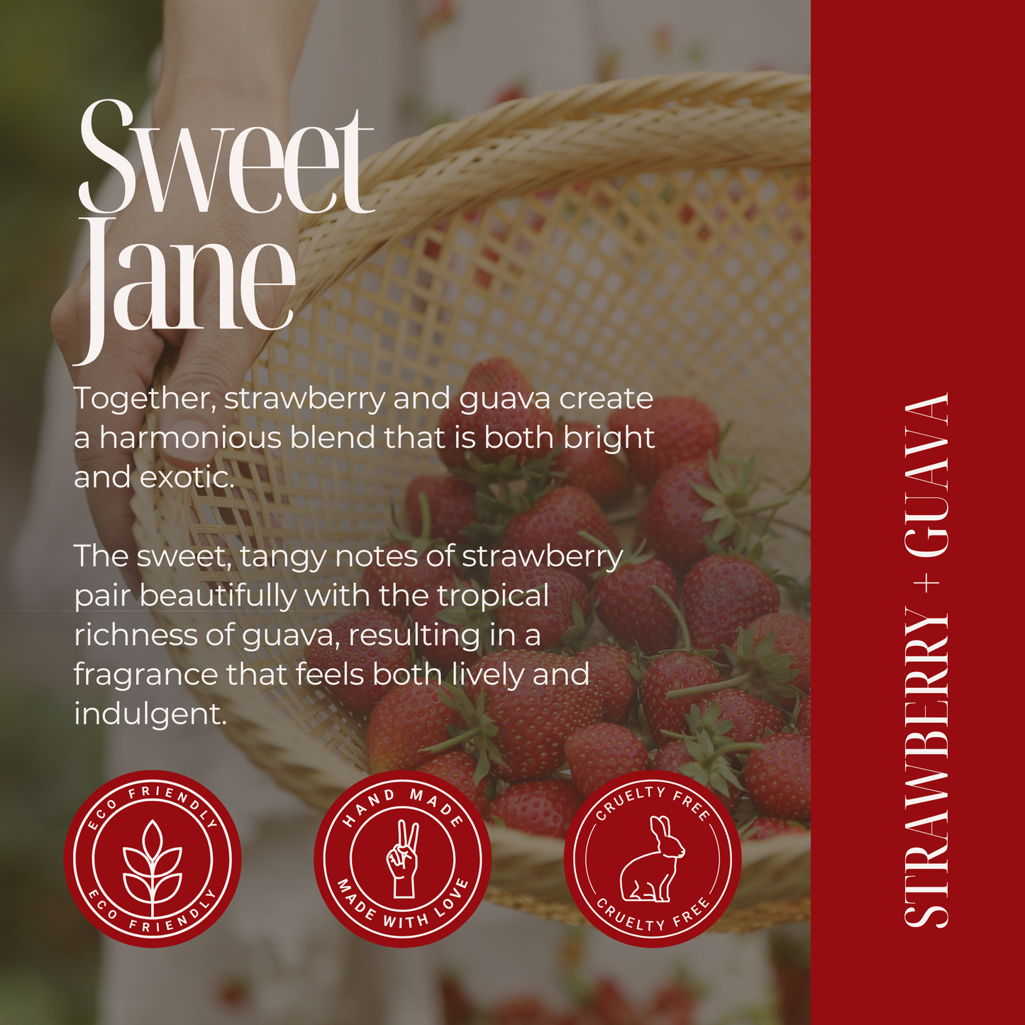 Sweet Jane | Strawberry + Guava
