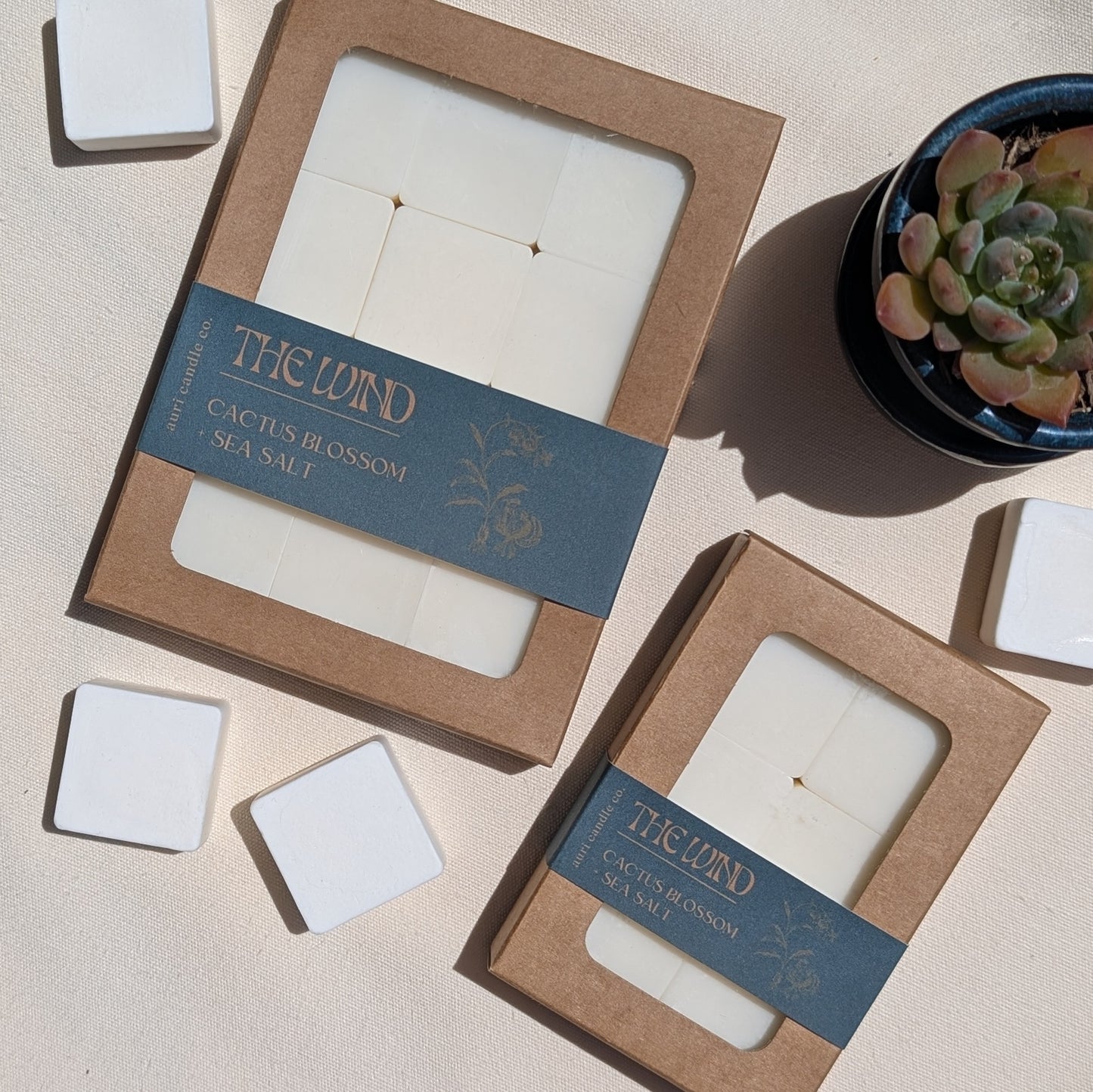 The Wind | Cactus Blossom + Sea Salt