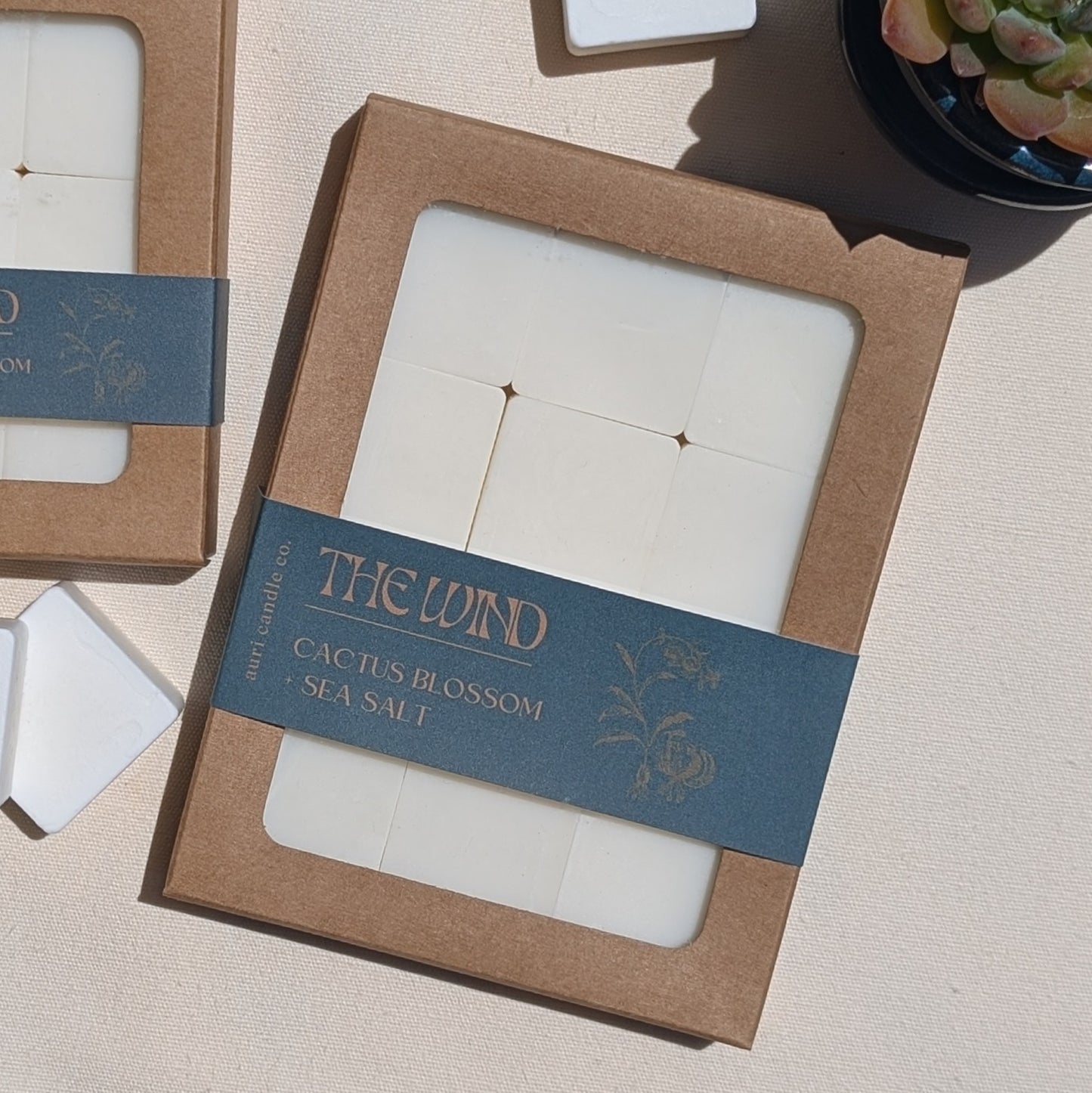 The Wind | Cactus Blossom + Sea Salt