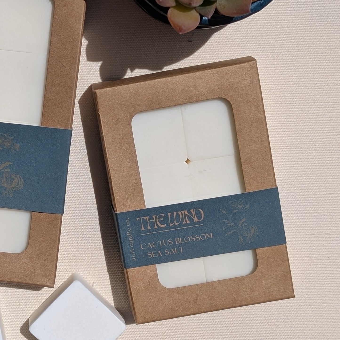 The Wind | Cactus Blossom + Sea Salt